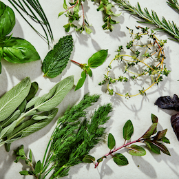 Herb