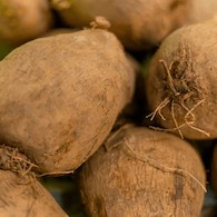 YAMS BRAZIL
